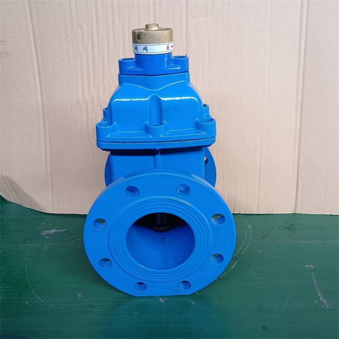 manual-resilient-gate-valve-with-lock-industrial-dn50-gate-valve