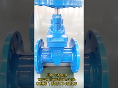 gate valve