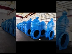 gate valve