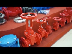 Gate Valve