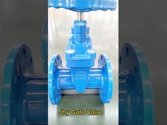 Ductile iron gate valve