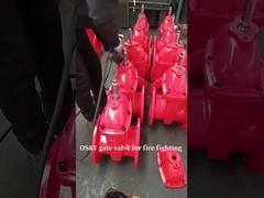 Ductile iron gate valve