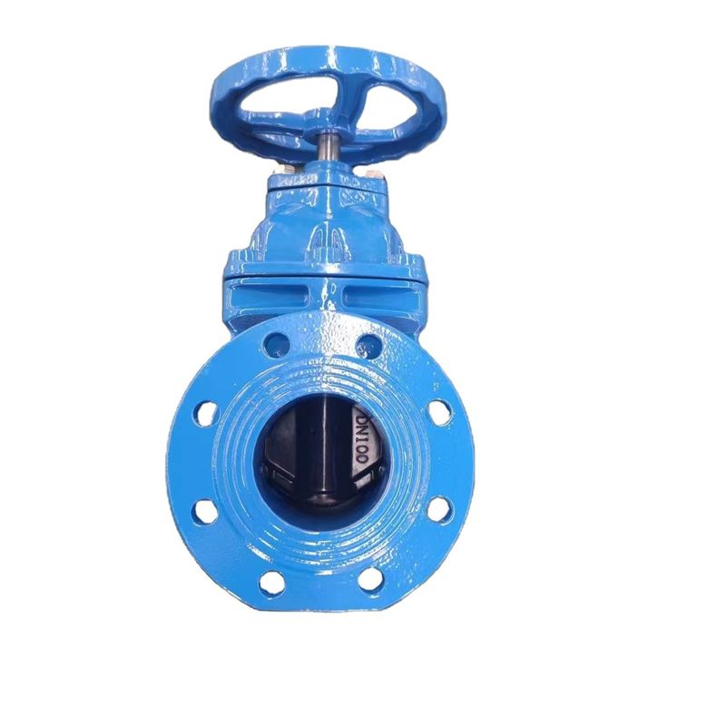 JHY Ductile Iron Gate Valve 2