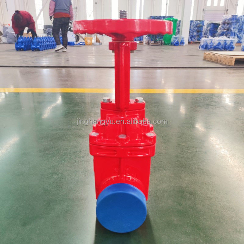 Flange End Grooved Rising Stem Gate Valve Ductile Iron With Worm Gear Actuator