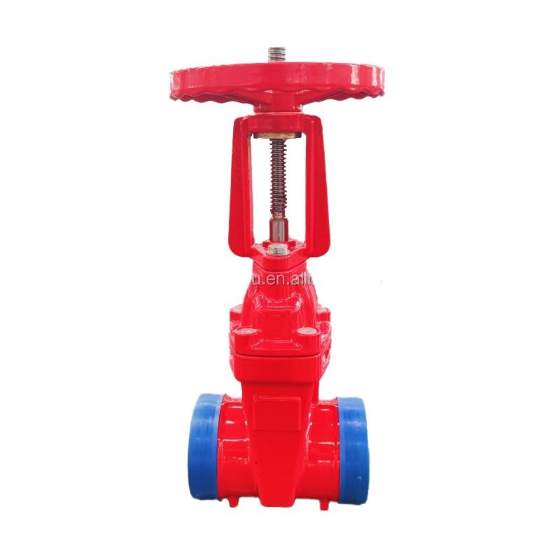 Flange End Grooved Rising Stem Gate Valve Ductile Iron With Worm Gear Actuator