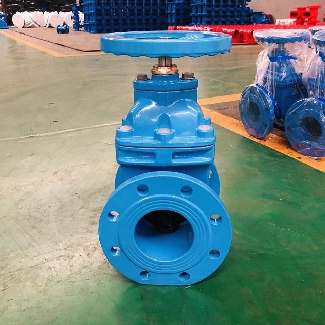 DN50 DI Kapı Valvu BS5163 Flange Tipi Kapı Valvu Sonu Bağlantısı