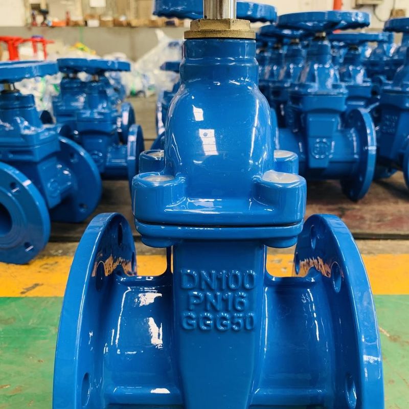 DN50 DI Kapı Valvu BS5163 Flange Tipi Kapı Valvu Sonu Bağlantısı