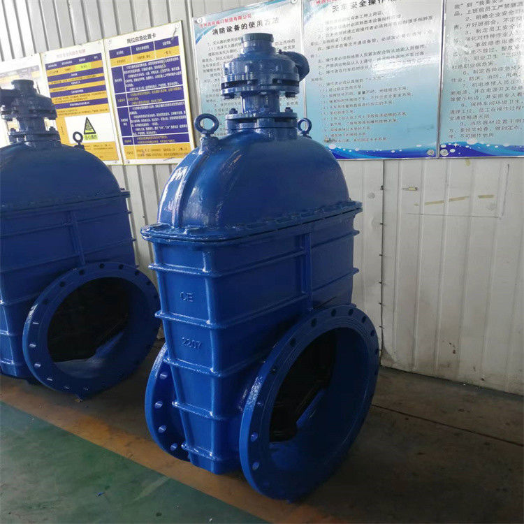 ANSI GGG40 Worm Gear Gate Valve 5 Inch 8 Inch 10 Inch 12 Inch Size