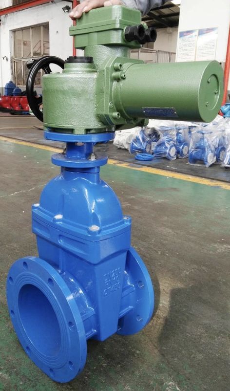 Flange Electric Soft Seal Gate Valve Ductile Iron DN65 DN80 Port Size
